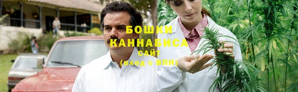 ПСИЛОЦИБИНОВЫЕ ГРИБЫ Протвино