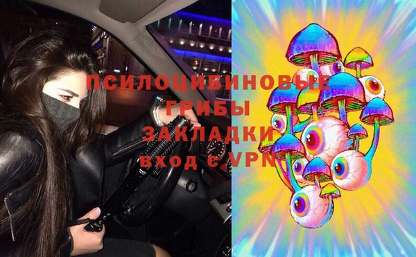 ПСИЛОЦИБИНОВЫЕ ГРИБЫ Протвино