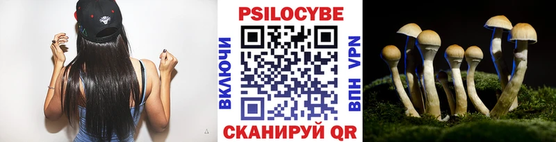 Купить закладки  Петрозаводск  Галлюциногенные грибы прущие грибы 